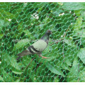 Chinese manufacturers fruit tree planting protecting net/bird netting